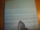 Wie Neu - FOALS What Went Down Box Set - Numbered Polaroid Taken by the Band