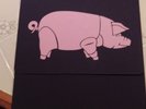 Pink Floyd LIVE IN ZURICH 2 LP LE #3/150 VERY RARE   MINT