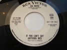 Rare Northern Soul Gia Mateo If you can't say anything nice/Juanito RCA Demo