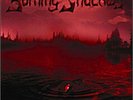BURNING SHADOWS - Into the Primordial (US METAL PRIVATE PRESS*DEBUT*SLOUGH FEG)