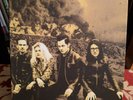 Dead Weather, Dodge & Burn COMPLETE Vault Singles Box Set, Third Man, Jack White