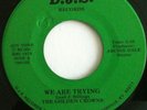 Rare Kentucky Private Press Black Gospel Soul Funk 45 GOLDEN CROWNS We Are Tryin