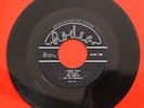 TED DAIGLE • IN A WORLD OF OUR OWN b/w I MISS YOU • Rockabilly 45 Rodeo RECORDS
