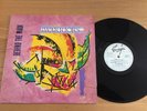 THE WARRIORS...BEHIND THE MASK .. RARE UK ISSUE ALBUM ENVY 6001