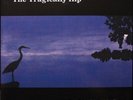 The Tragically Hip - In Violet Light (180g Vinyl LP)  NEW