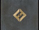 LP Foo Fighters Concrete & Gold DOPPIO VINILE