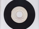 WHO YOU GONNA RUN TO- SHADES - LOOK WHO IS BACK- KARL BRYAN (69 REGGAE ROOTS 7