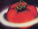 BANCO di Terra Lp