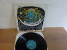 DIMENTIA 13 SAME RARE  SUPERB GARAGE PUNK PSYCH MIDNIGHT RECORDS 1985