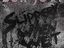 Bon Jovi Slippery When Wet 12