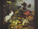 Exotic Birds & Fruit [VINYL] Procol Harum Vinyl