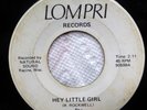 The LINES END 45 Miss Illusion / Hey little girl LOMPRI psych garage rock Jr942