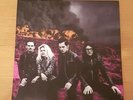 The Dead Weather Dodge and Burn Vinyl LP Unplayed NM Third Man Records TMR-331