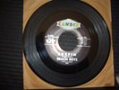 Beach Boys first single 