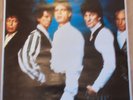 ROLLING STONES URBAN JUNGLE PROMO POSTER GELSENKRCHEN GERMANY 1990