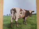 Pink Floyd - Atom Heart Mother UK (re) Press vinyl LP