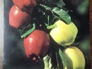 rare original psych lp - WASHINGTON APPLES - FRESH COUNTRY APPLES - 1970 - EX