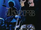 THE DOORS ABSOLUTELY LIVE   REMASTERED  2LP GATEFOLD 180g  NEW SEALED