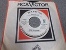The Cavaliers Hold to My Baby northern soul promo on RCA mp3