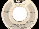 BOB SEGER & LAST HEARD-  VAGRANT WINTER - COOL MICHIGAN GARAGE 45 - HEAR