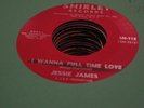 17A VG+ northern soul Jessie James i gotta little girl  Shirley 112