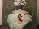 Home Grown by Various Artists 1976 Vinyl KKUA Records 1st Press