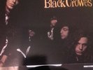 THE BLACK CROWES - SHAKE YOUR MONEY MAKER VINYL LP UK RELEASE      VG+VG+