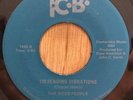 THE WEBB PEOPLE funk soul xover 45 I'm Sending Vibrations / Bump With Me   TCB