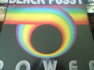 Black Pussy – Power   Made In China Records ?– MICR013 2017  NEW