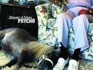 Psycho - ELEMENT OF CRIME [LP]