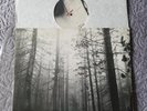THE CURE - A FOREST - 12
