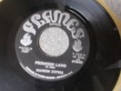 The Nairobi Sisters Promised Land afro-funk 45 on Flames ATCQ sample mp3
