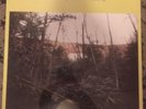 bonnie 'prince' billy Vinyl Self Titled Sealed Rare