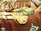 ROY HARPER - FLAT BAROQUE AND BERSERK - NEW VINYL LP