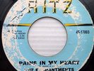 the ENCHANTMENTS doowop vg cond RITZ 45 PAINS IN MY HEART / I LOVE MY BABY C2671