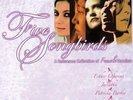 Five Songbirds - rare First Impression Music hybrid SACD
