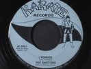 EMOTIONS: I Wonder / Hey Baby 45 Rock & Pop