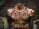 Obituary ?– Inked In Blood 2x 12