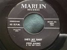 Hear Rare Garage Rockabilly 45 : Steve Alaimo   She's My Baby   Marlin 6067