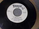 The Mighty Scepters Hey Lady/The Big Let Down rare sweet/70s soul on Earth mp3