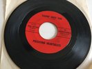 Pulsating Heartbeats Talkin' Bout You b/w Anne Pace Setters Alaska Garage Rock
