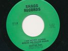 Guitar Ray Shagg 711 E R&B funk 45 You're Gonna Wreck My Life b/w I Am Never