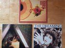 3 Kate Bush Rare Original Vinyl Albums.The Kick Inside/Lionheart/The Dreaming