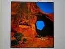 LP EU**VARIOUS - THE BRIDGE - A TRIBUTE TO NEIL YOUNG (PIXIES/ NICK CAVE)**27941