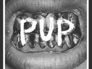 PUP s/t PUP ALBUM - Grey Marble Vinyl - Self Titled - POP PUNK - Great Stuff