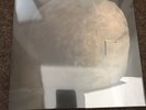 THE CARETAKER An Empty Bliss Beyond This World Vinyl Lp