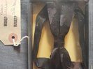 robbie williams bow tie
