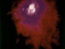Porcupine Tree - Up The Downstair  Steven Wilson 180 Gram  Vinyl LP  New