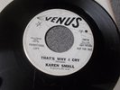 Karen Small To Get You back Again northern soul promo on Venus mp3