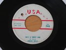 JUNIOR WELLS She's A Sweet One/When The Cats Gone The Mice Play 45 R&B Soul HEAR